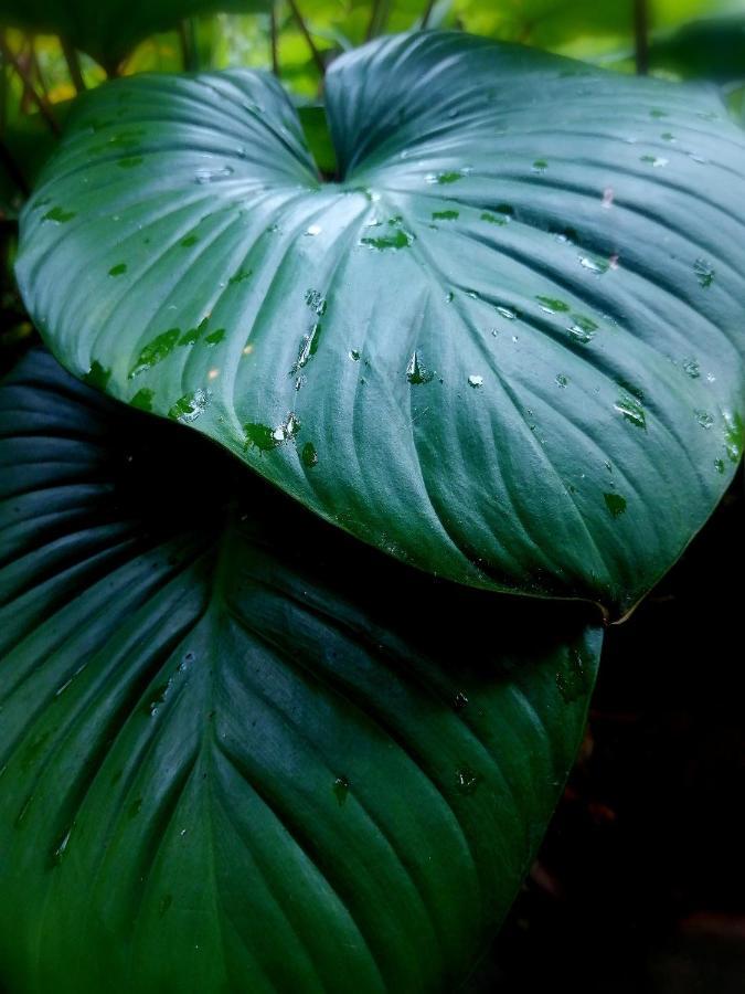 Finca Kobo Palo Seco 외부 사진