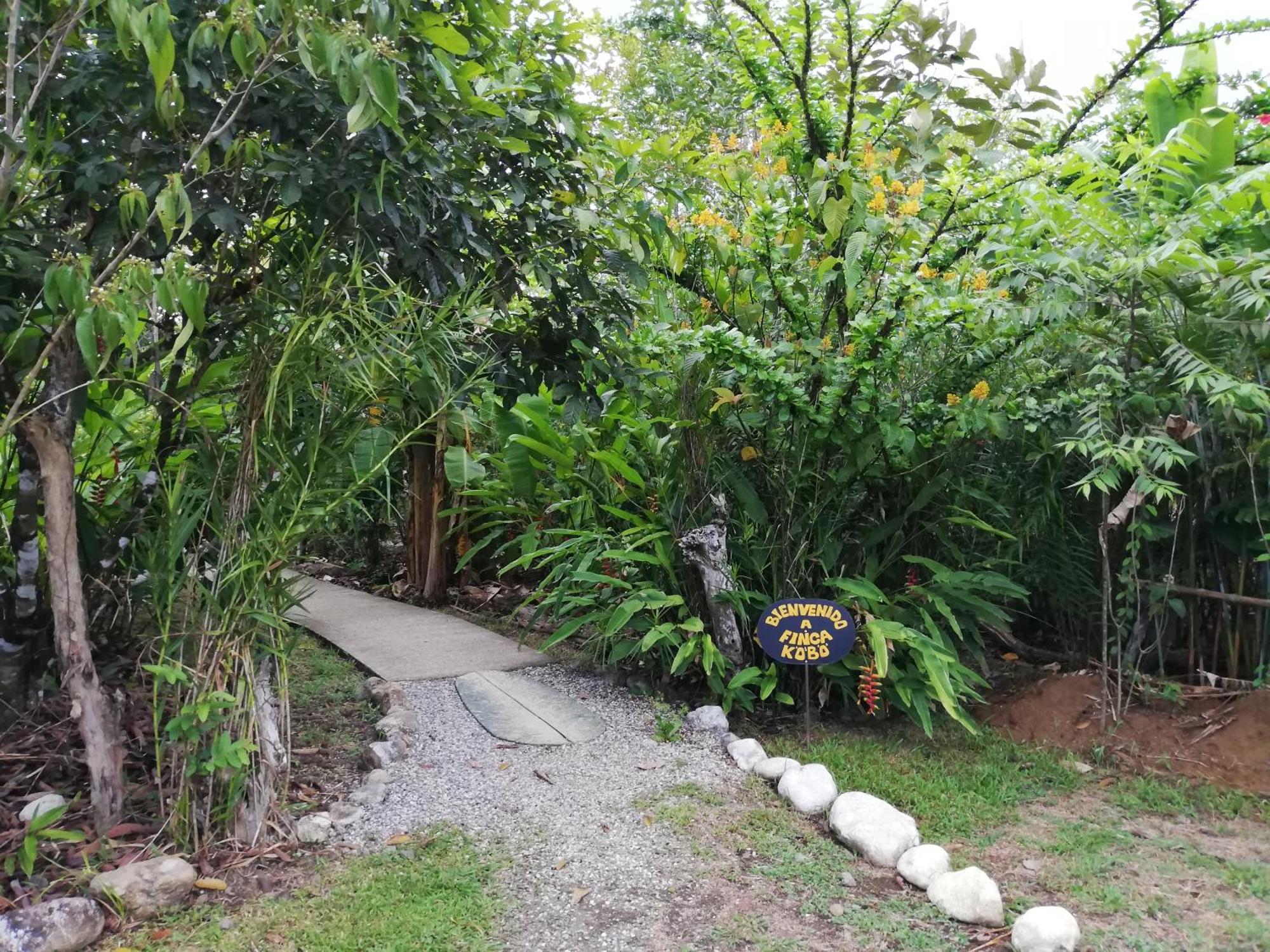Finca Kobo Palo Seco 외부 사진